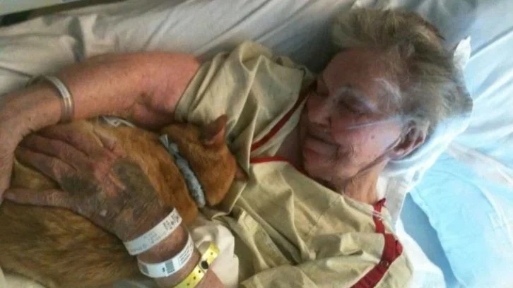 This Elderly Woman Wanted to Say Her Beloved Cat Goodbye One Last Time, Knowing Her Time Was Running Out