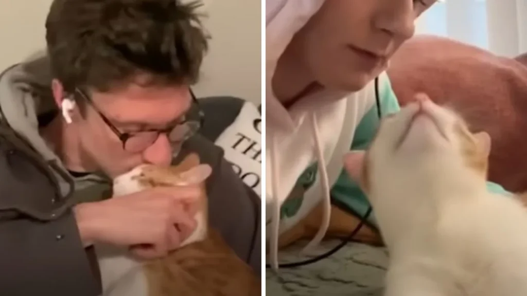 It Looks Like This Cat Stole His Mom’s Boyfriend, Making Her a Third Wheel