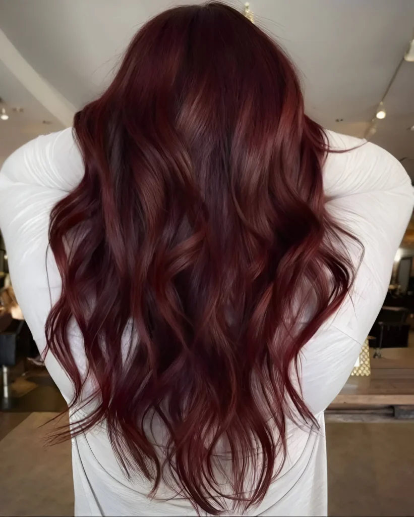 Person with long, wavy, dark burgundy hair with subtle, lighter burgundy balayage highlights, viewed from the back.